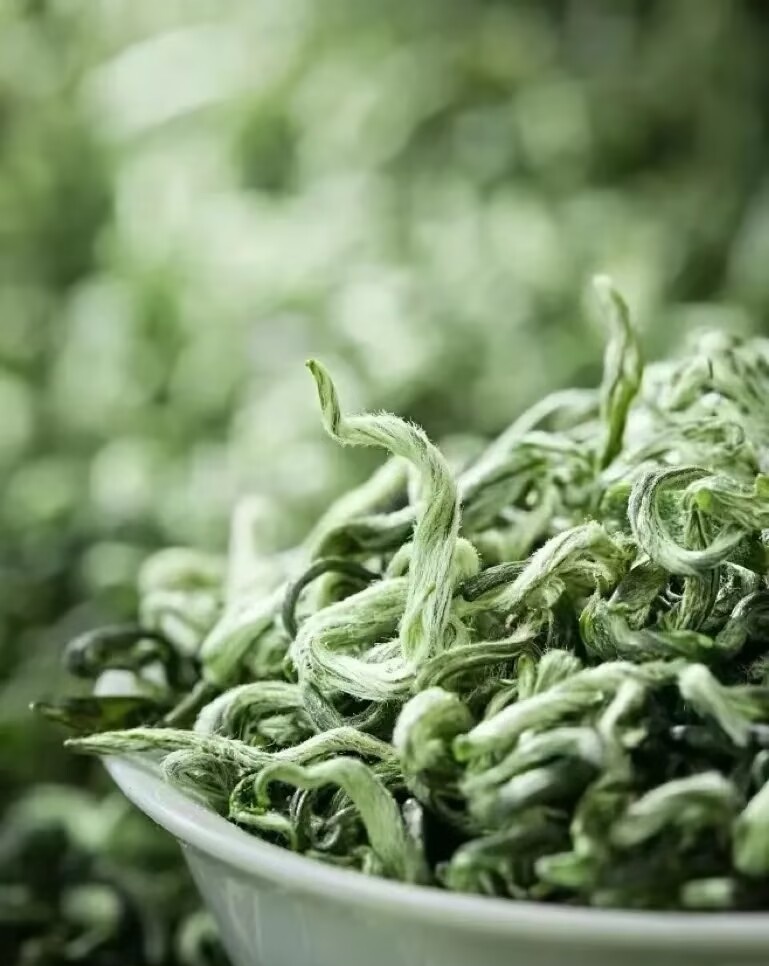 上海品茶工作室洞庭碧螺春